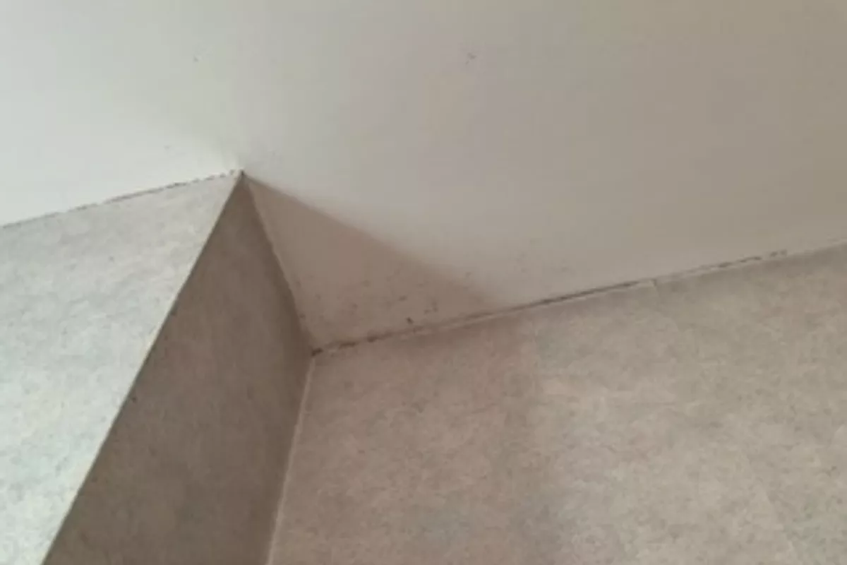Petits travaux et entretien extérieur Vitré