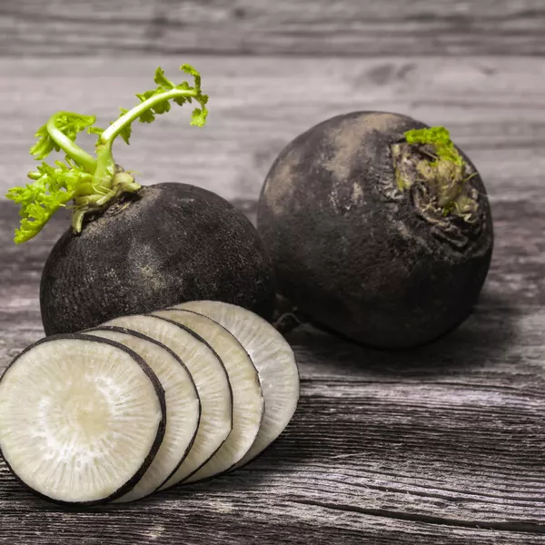 Le radis noir, un super allié pour le foie