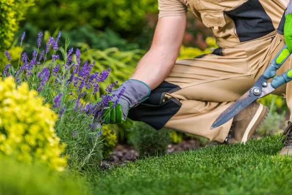 Service de jardinage adapté à la saison – Lyon et alentours
