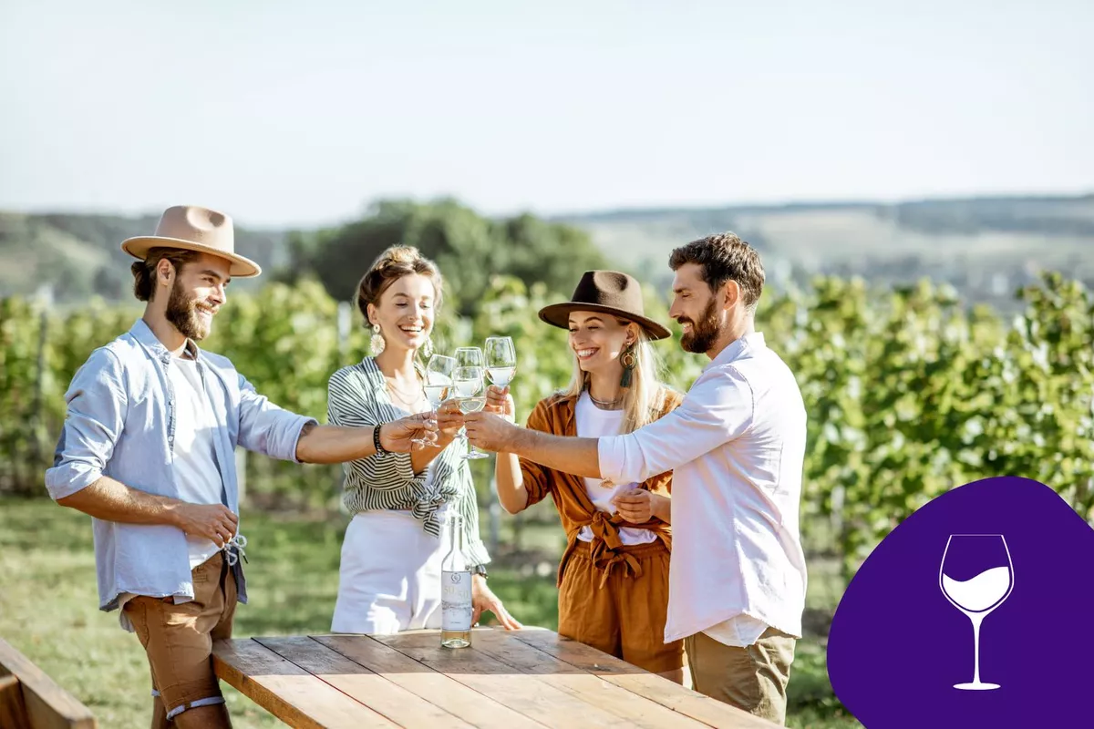 Dégustation de vin avec transport privé en Saumurois