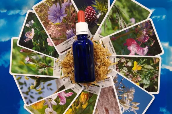 Thérapie émotionnelle par les Fleurs de Bach et la Florologie - en présentiel