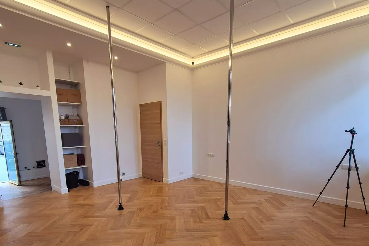 PS1-Privatisation du Sudio Pole dance 1h