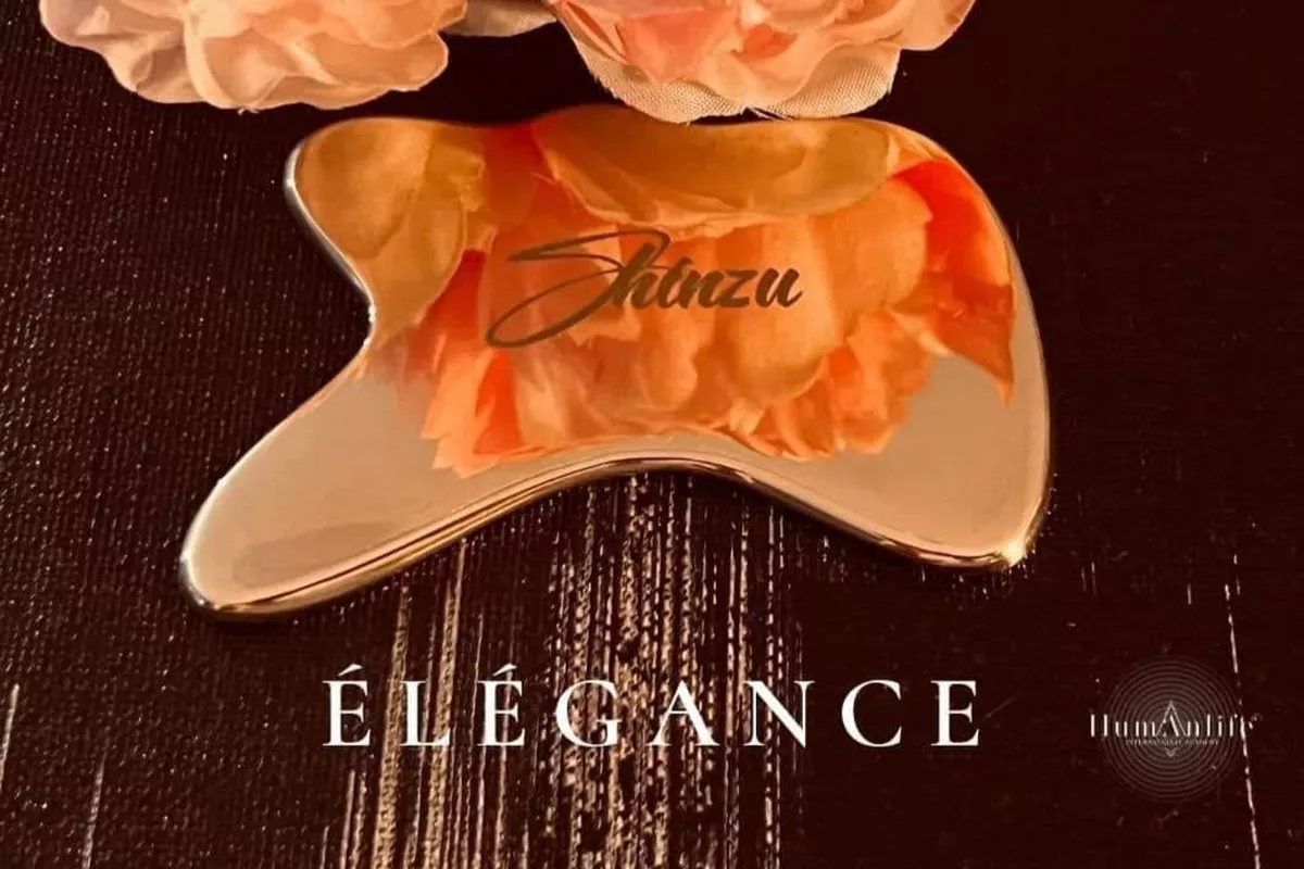 Massage visage et cuir chevelu : Elégance by Shinzu