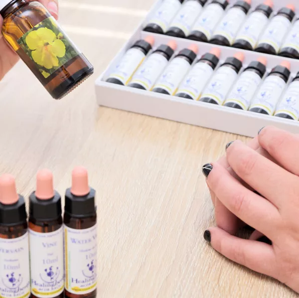 🌸 Fleurs de Bach – Tout public