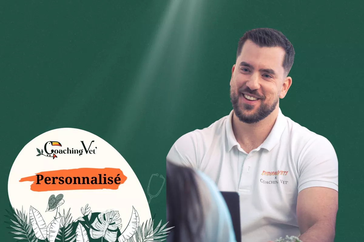 Coaching Professionnel Personnalisé – Un accompagnement sur mesure adapté à vos besoins