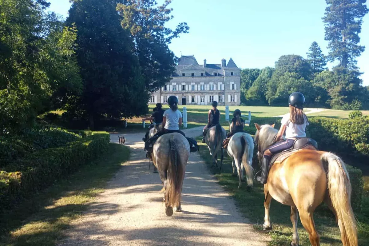 accompagnement émotionnel Langolen