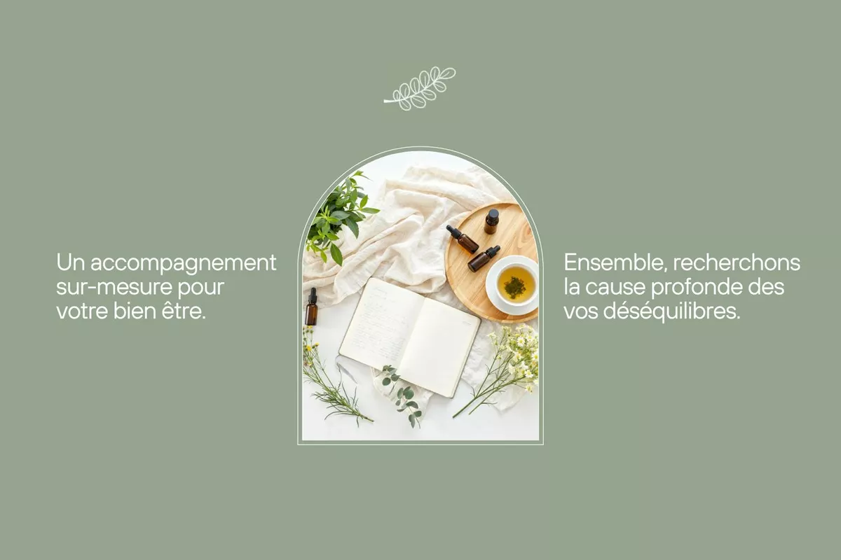 Naturopathe Saint-Sauveur-sur-École