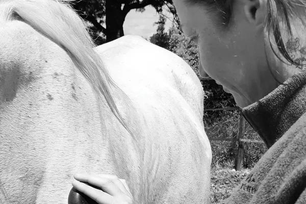 🪶Massage Intuitif Equin & Canin (disponible à la rentrée 2026)