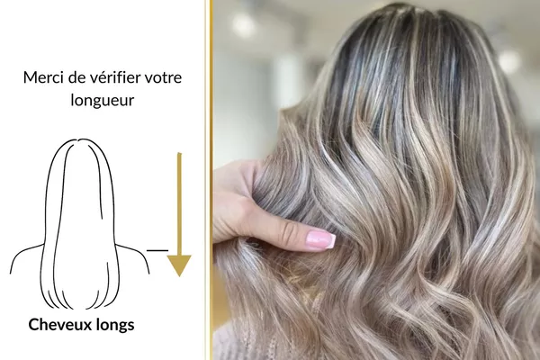 Mèches avec brushing inclus - Cheveux longs