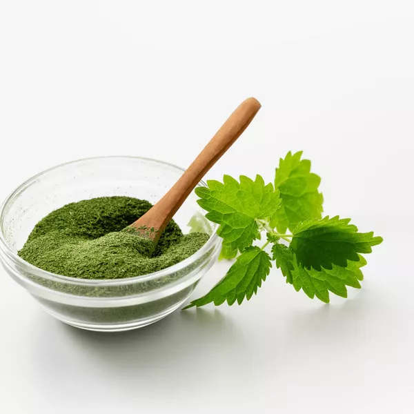 Les Bienfaits De l'Ortie Sur La Santé