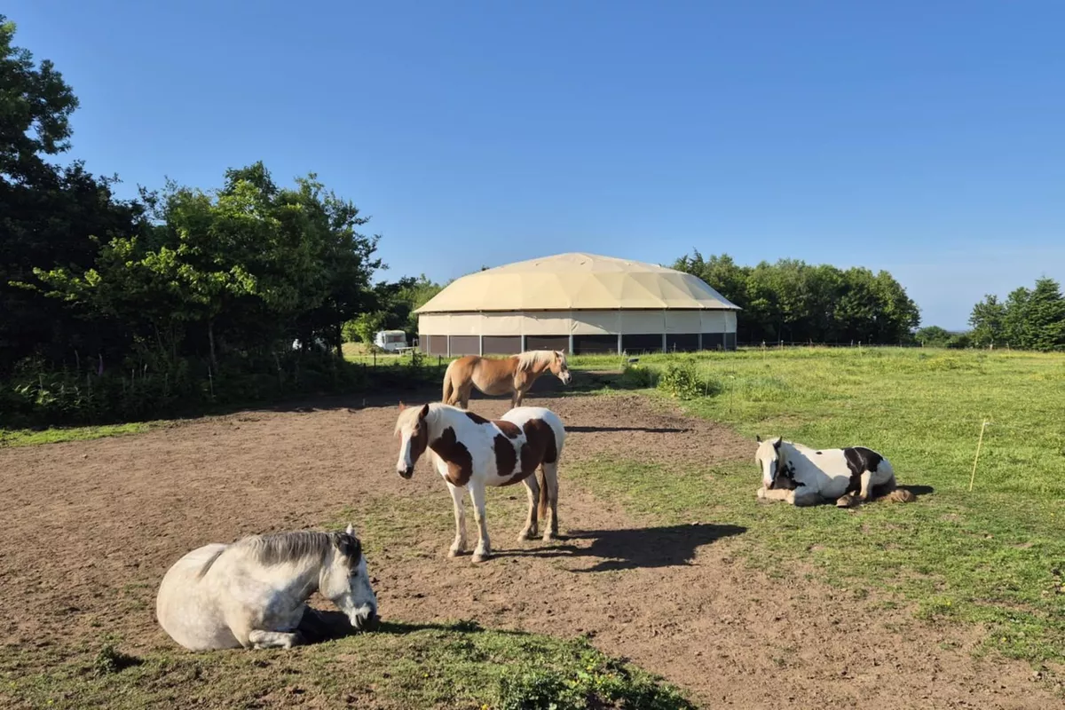 thérapie psychocorporelle Langolen