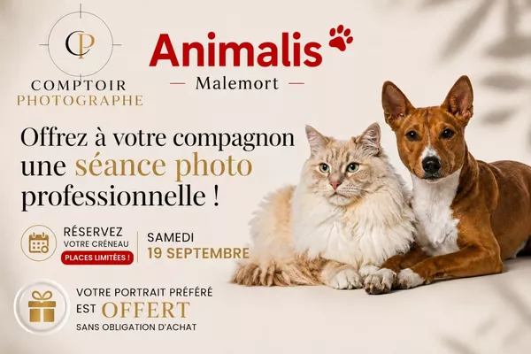 Animalis Malemort-Séance photo offerte sans d'obligation d'achat