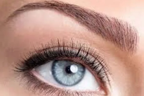 Teinture des cils ou sourcils