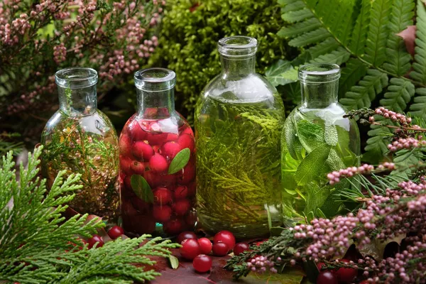 Consultation de suivi en naturopathie