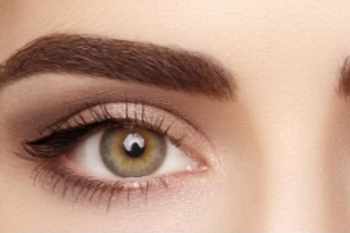 Structure Sourcils