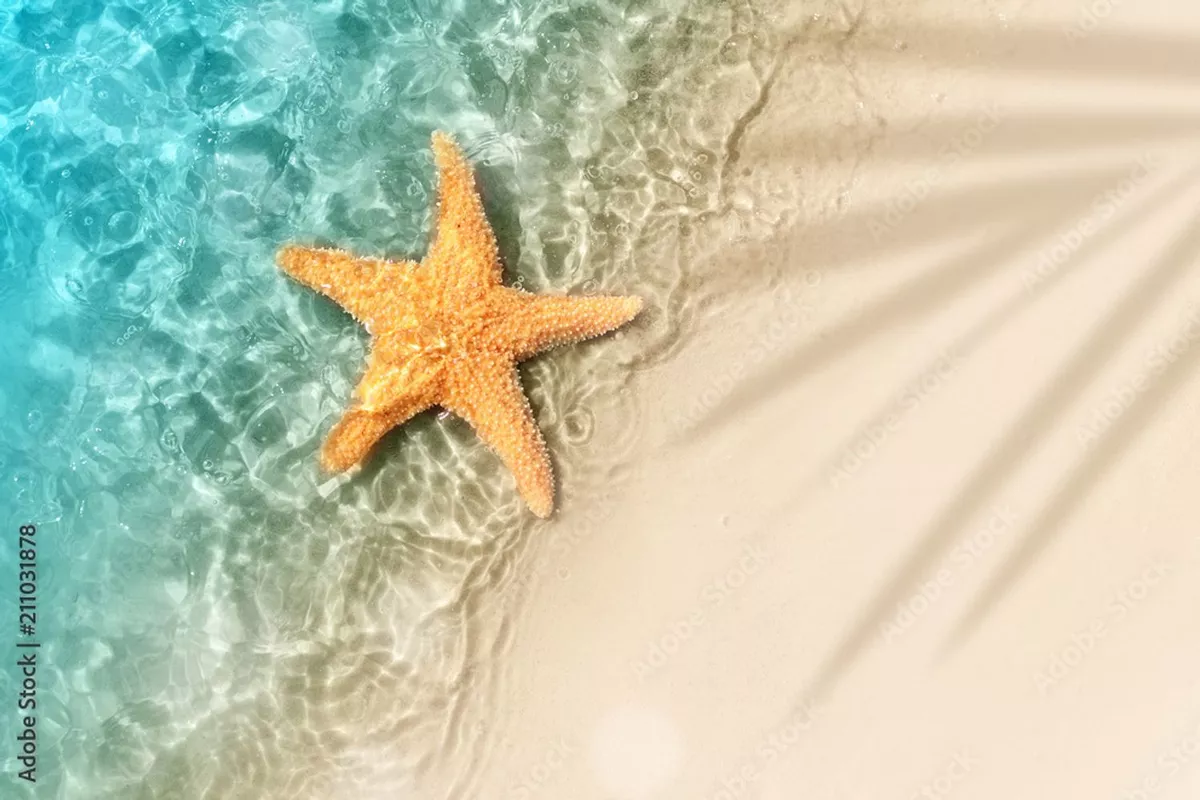 Massage Hawaïen Lomi Lomi