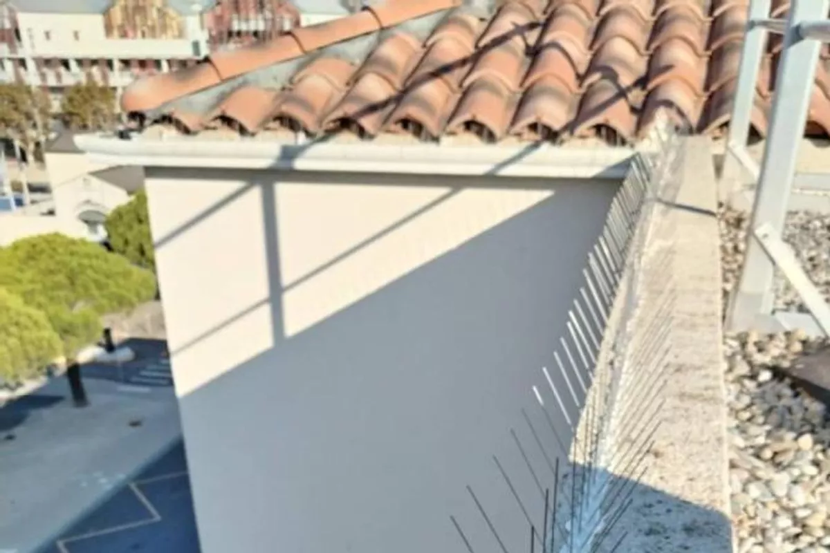 Pose de pic anti-pigeon