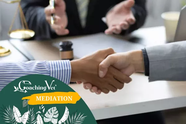 Médiation/Facilitation entre associé(e)s