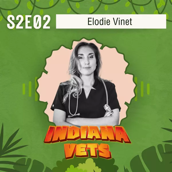 S02E02/ Interview de Elodie Vinet, comment adapter son travail à sa vie ?