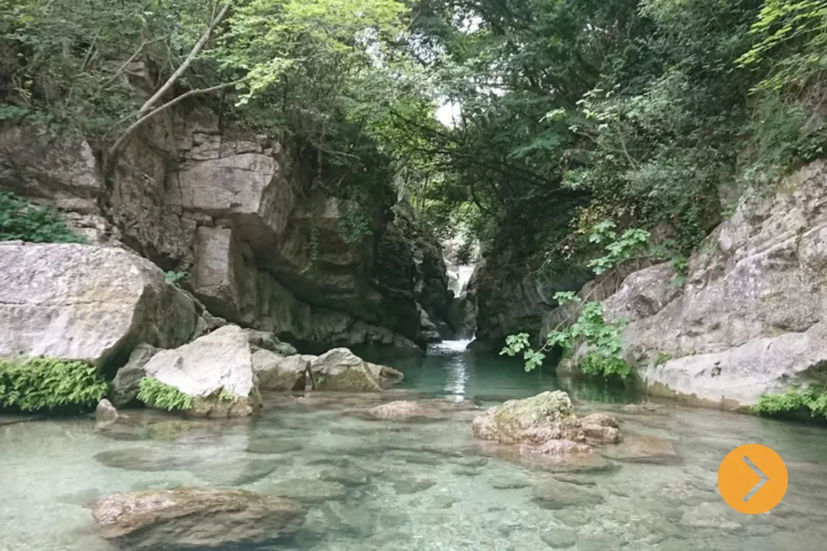 Excursion French Riviera Authentique "Villages et patrimoine" : Grasse, Saint-Paul-de-Vence et Saint-Jean-Cap-Ferrat