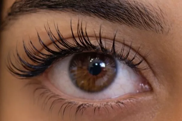 REHAUSSEMENT DE CILS SANS TEINTURE