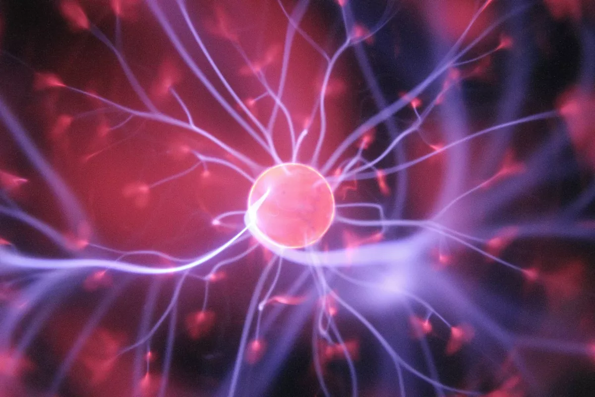 Séminaire d'intégration dans la 5D