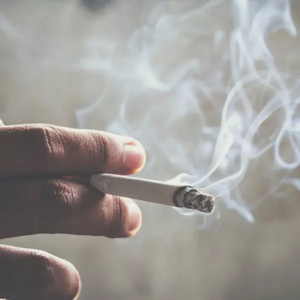 Composition d’une cigarette