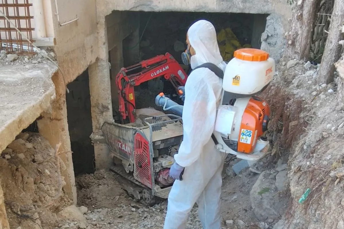 Désinsectisation  Cagnes-sur-Mer