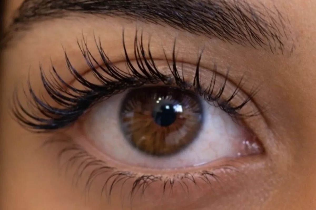 EXTENSION DE CILS ( CILà CIL)