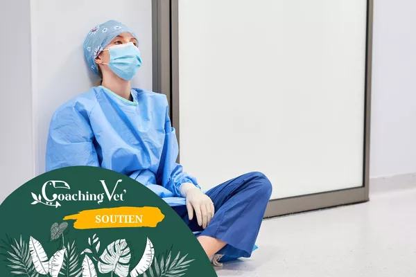 Coaching individuel pour salarié(e)s de clinique vétérinaire – Soutenez l'humain au cœur de votre équipe
