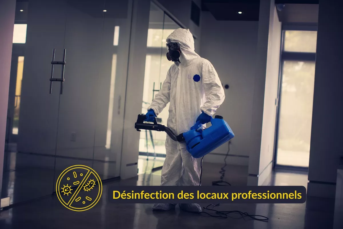 Destruction nid de frelons Nice