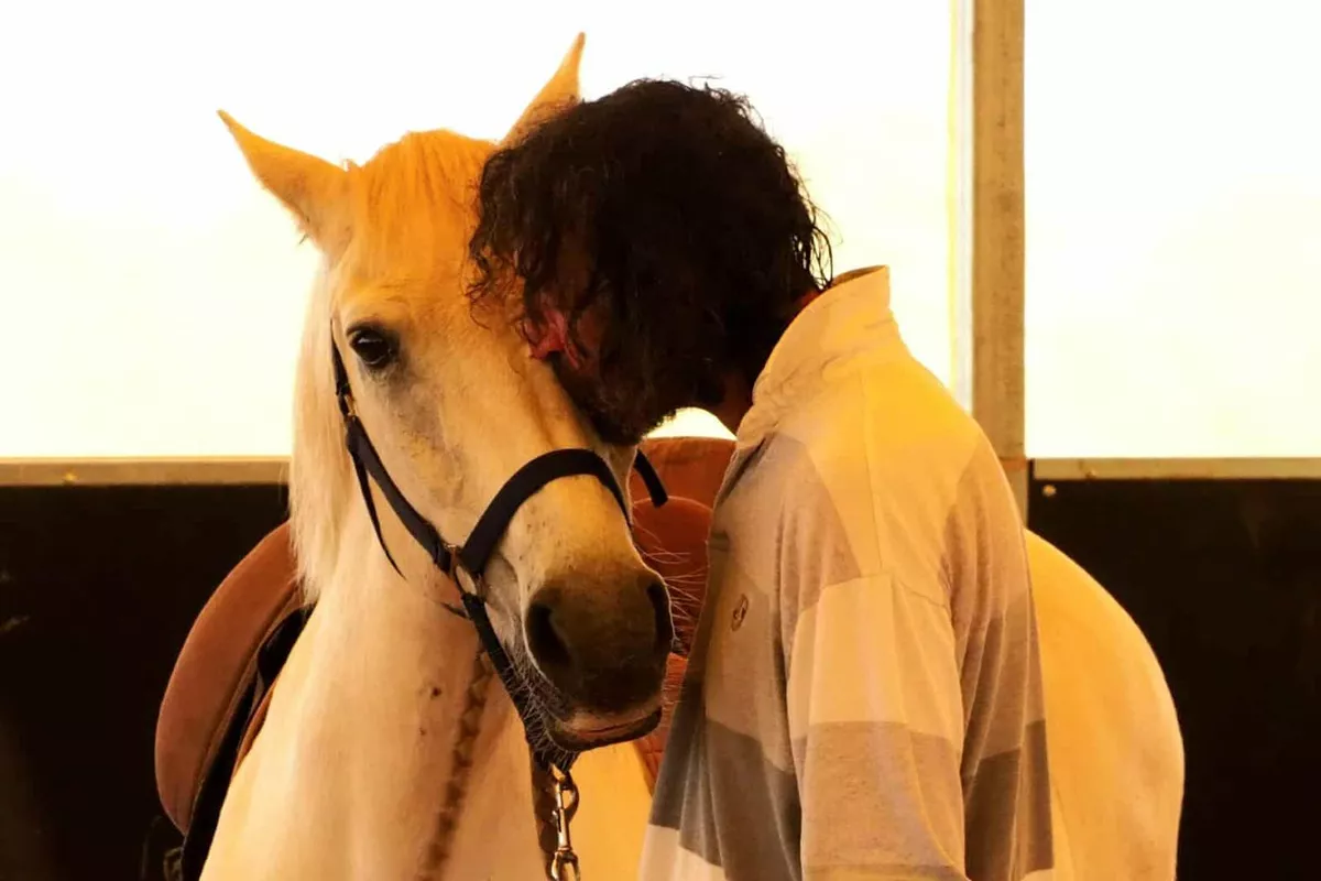 médiation équine Langolen