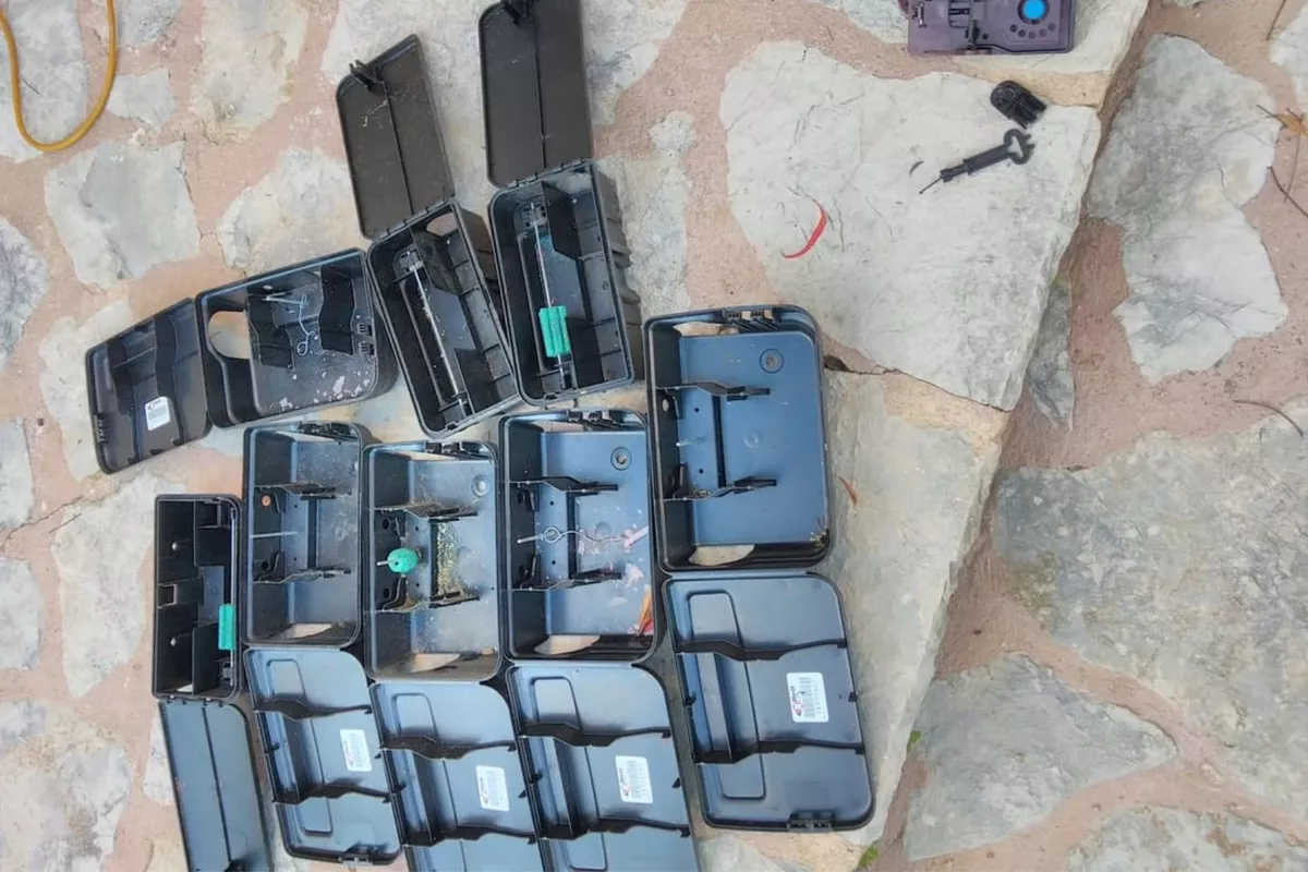 Dératisation  Cagnes-sur-Mer