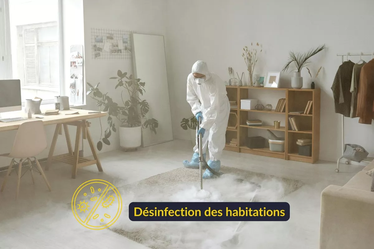 dératisation Nice