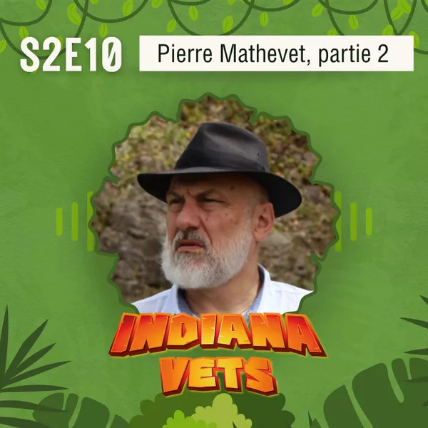 S02E10/ Interview de Pierre Mathevet (partie 2), grandir sans se comparer 🧘‍♀️