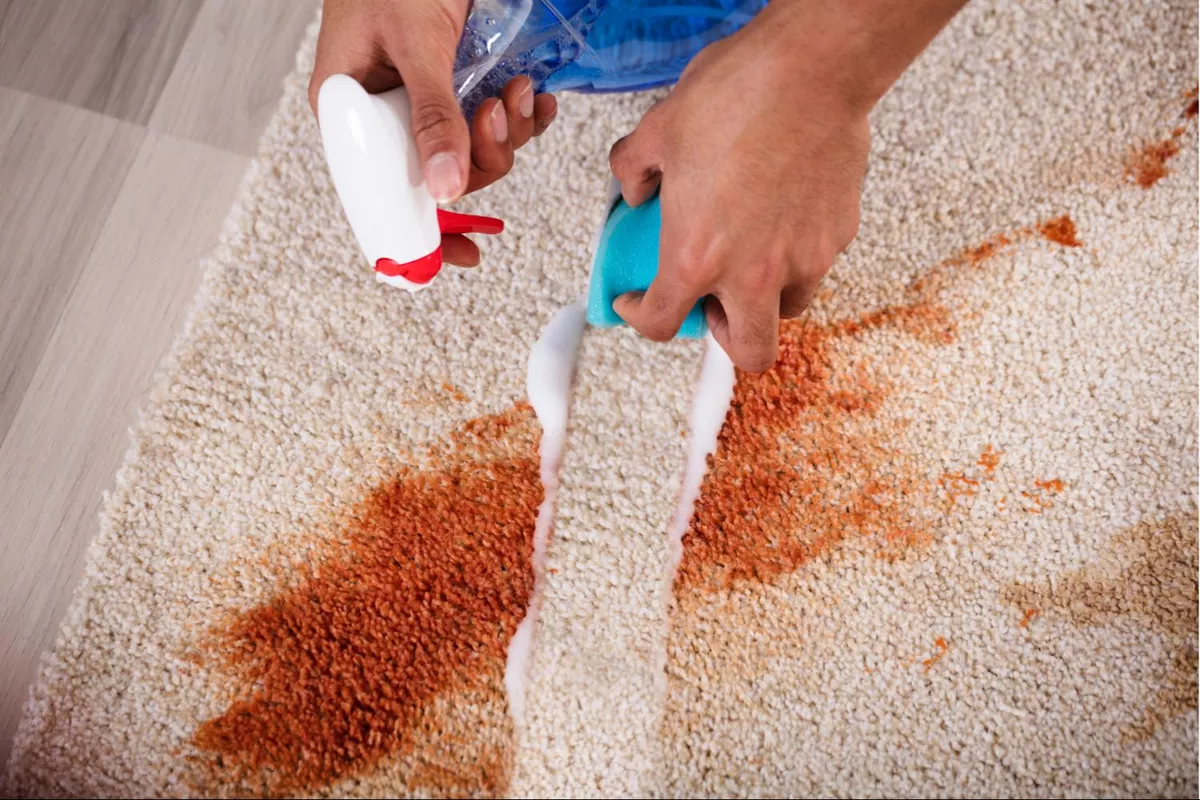 Nettoyage de tapis / moquette