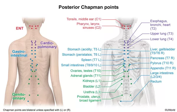 STP – Stimulation Transcutanée Ponctiforme