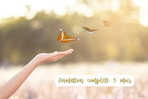 Formation 3 mois – Se libérer des blessures émotionnelles et transgénérationnelles