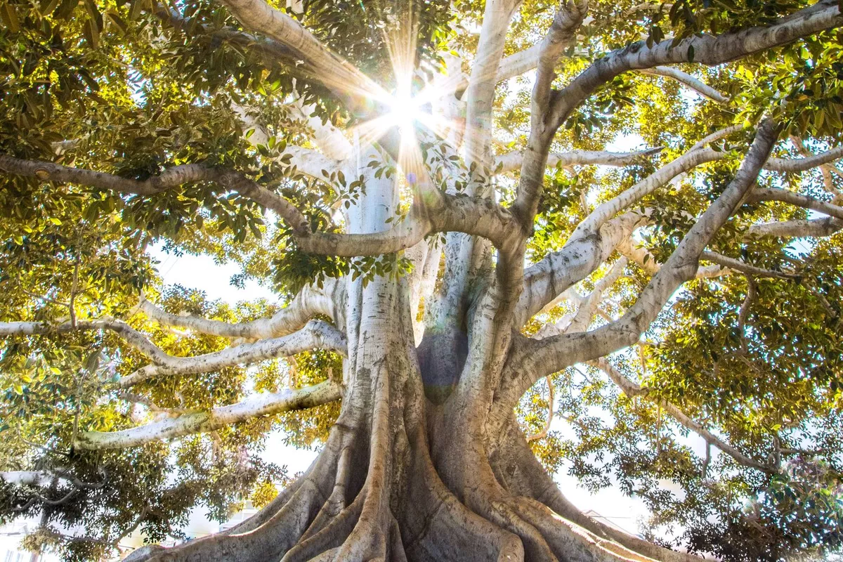 Séminaire Voyage vers la confiance en soi