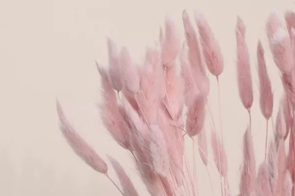 Forfait : Aisselles