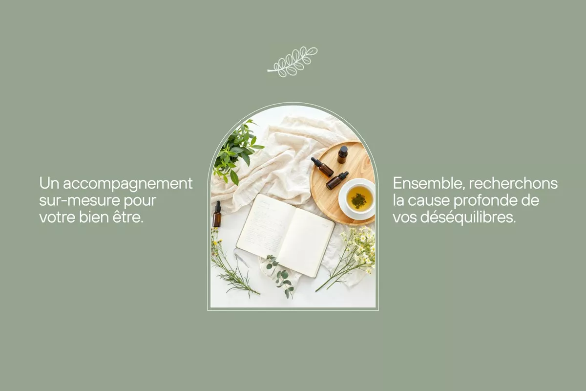 Naturopathe Saint-Sauveur-sur-École