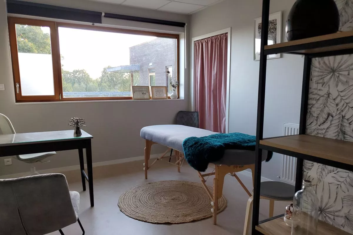 Consultation,  Bilan et programme Naturopathique