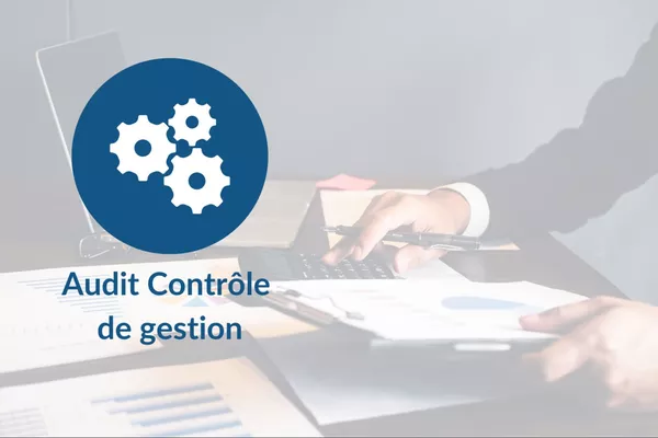Audit interne et contrôle de gestion