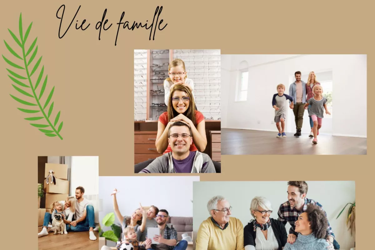 Séance Thérapie Familiale