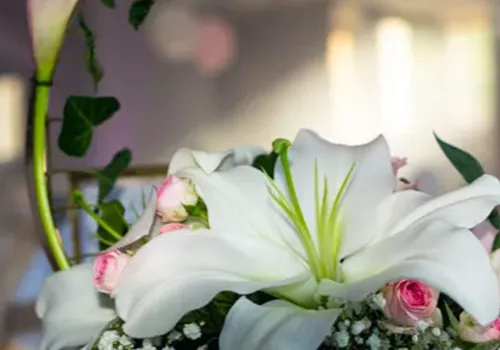 Mariage occidental au style champêtre : nature & authenticité 2