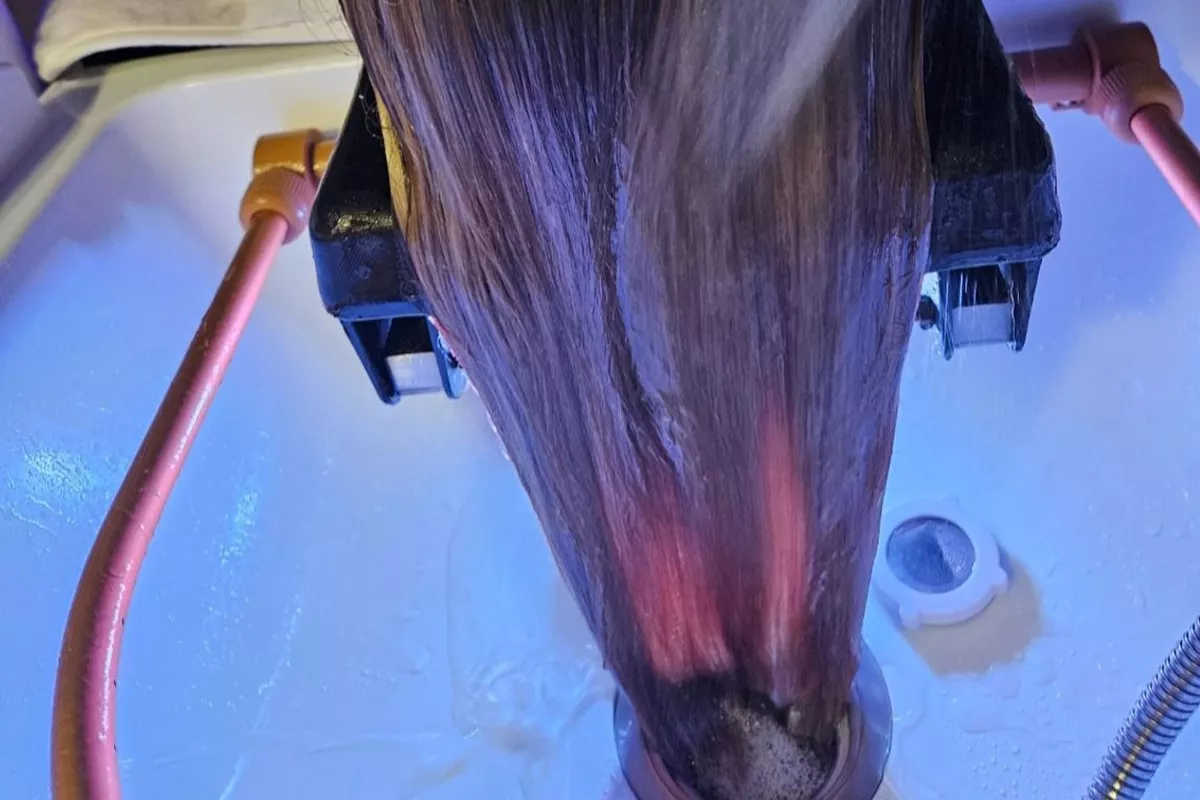 Séance Tulipe - Head Spa (cheveux longs après les épaules)