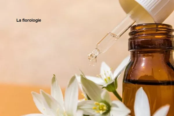 Séance complète : Reiki + Thérapie par la florologie