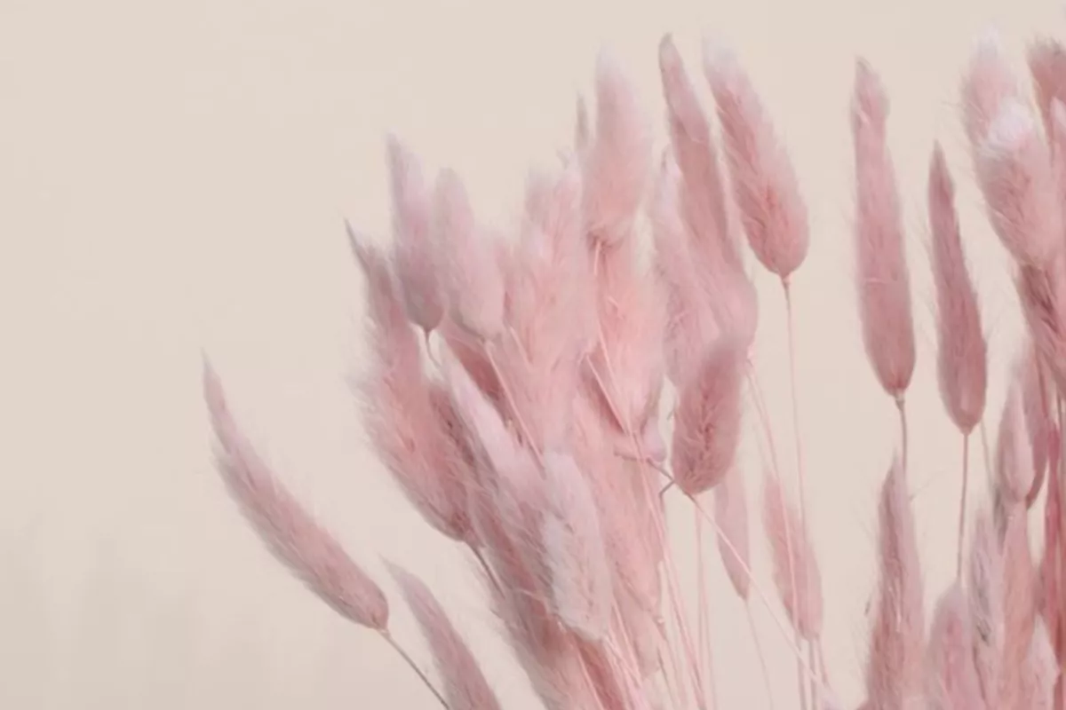 Forfait : Aisselles