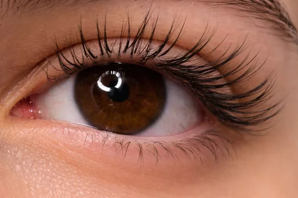 REHAUSSEMENT AVEC LA TEINTURE