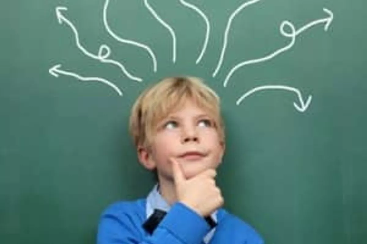 Bilan d’Efficience Intellectuelle(QI):